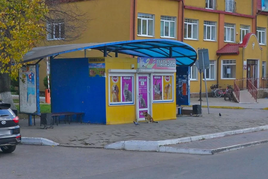 Собственника зоомагазина на Московской обяжут отремонтировать прилегающий тротуар
