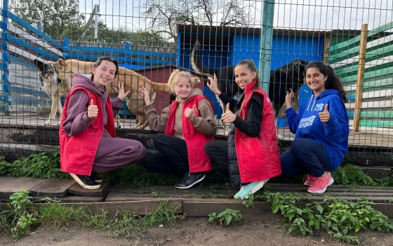 Жители Гусева собрали 125 кг сухого корма для приюта бездомных животных