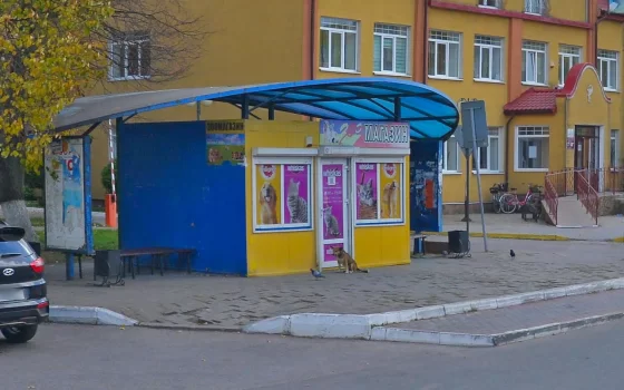 Собственника зоомагазина на Московской обяжут отремонтировать прилегающий тротуар
