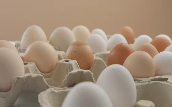 Алиханов о подорожании яиц: Долговы под шумок вышли из договоренности о фиксации цен