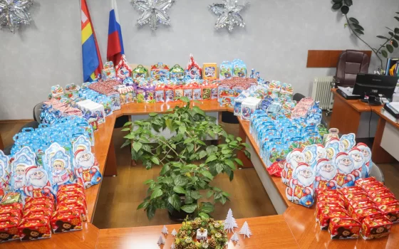 Неравнодушные гусевцы собрали более 300 подарков для детей из малообеспеченных семей