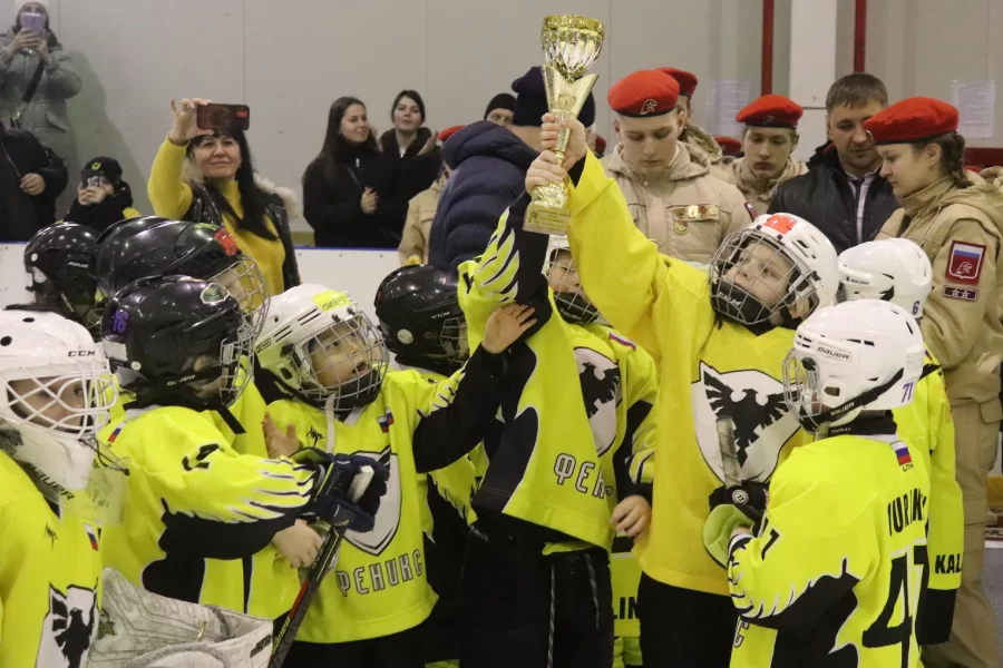 В Гусеве прошел турнир по хоккею, посвященный Дню защитника Отечества