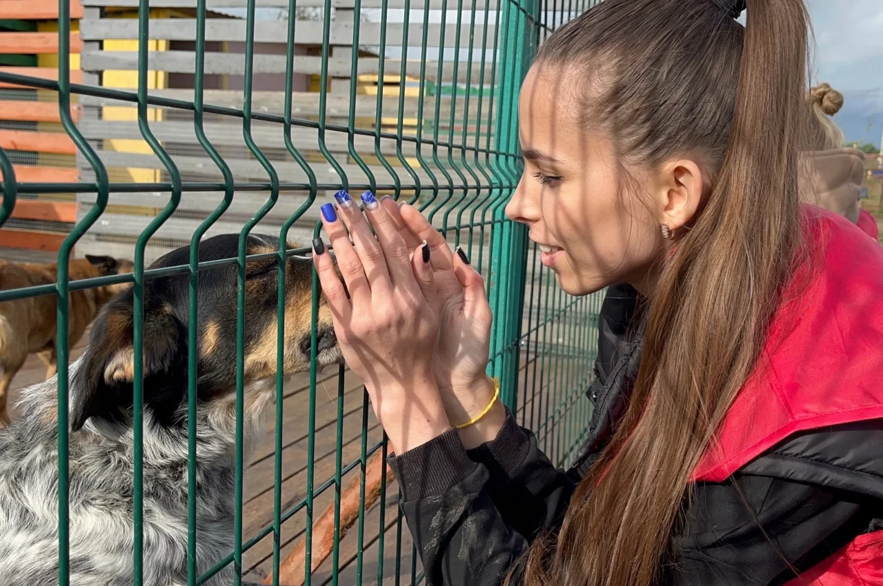 Волонтеры городского ДК проводят благотворительный сбор помощи для приюта животных