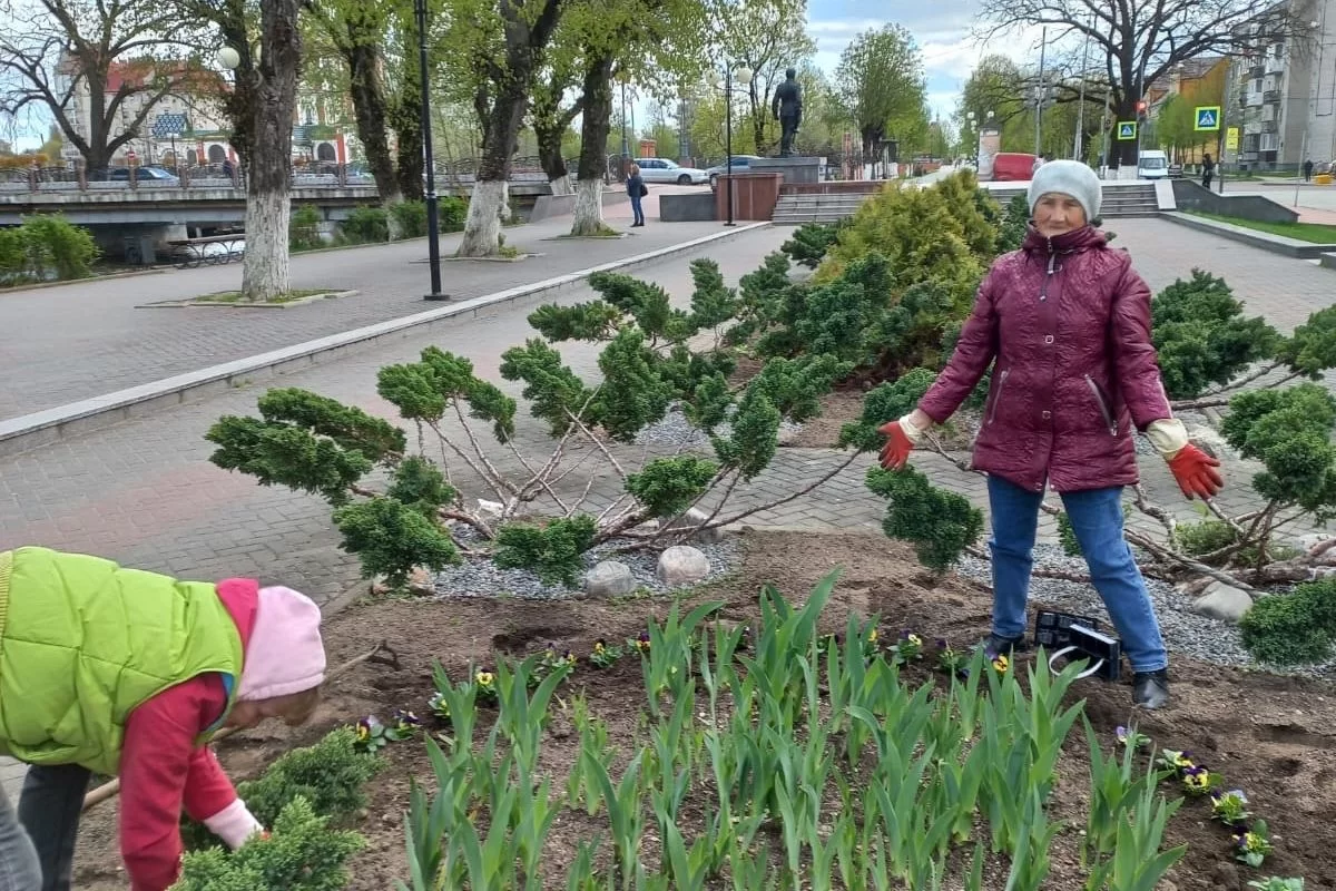 Волонтеры «серебряного» и сотрудники МБУ «Чистота» высадили цветы на клумбе около памятника С. И. Гусеву
