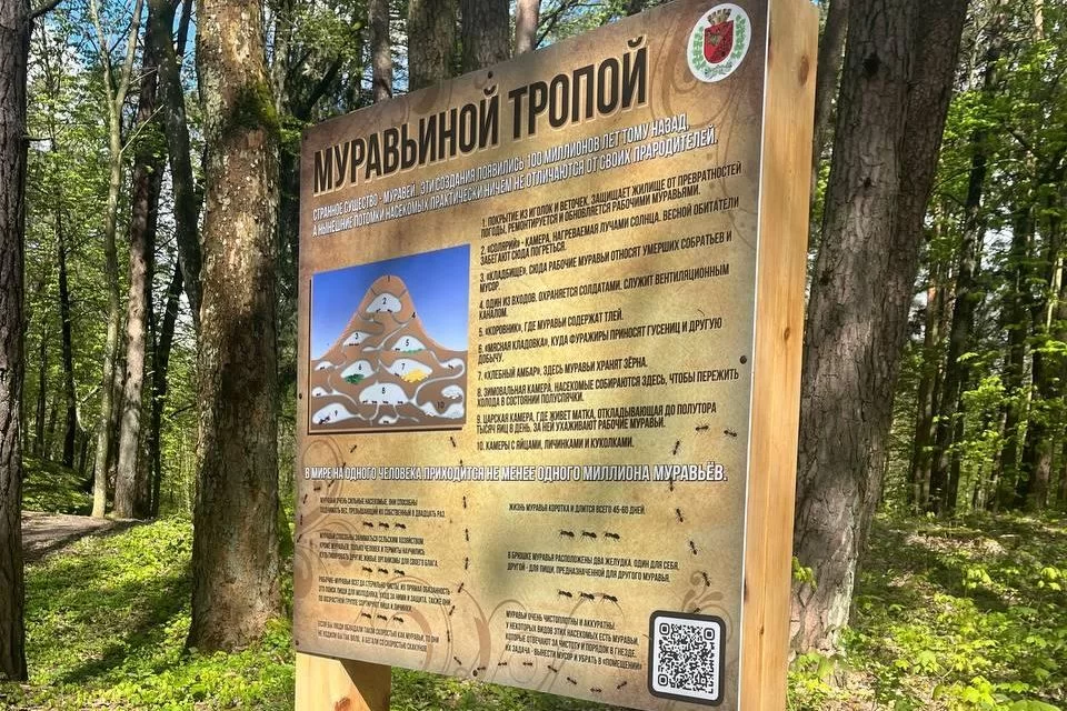 27 апреля в Грэсовском лесу состоится открытие обновлённой экотропы