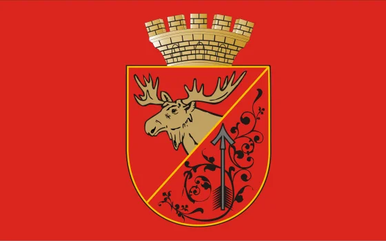 Символика города Гусева