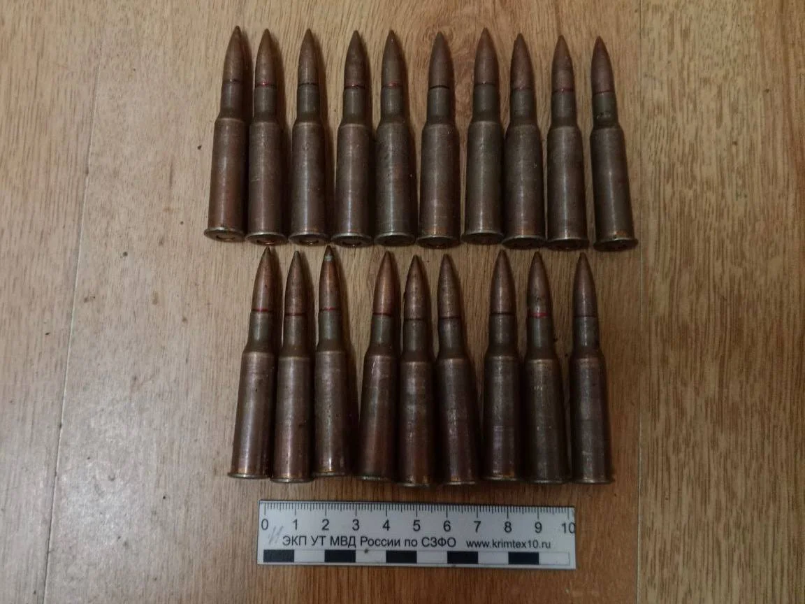 У железнодорожной дороги «Черняховск — Гусев» задержали мужчину с боевыми патронами