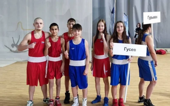 Гусевские боксёры завоевали девять наград на областном первенстве
