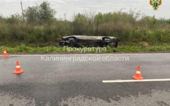 18-летний житель Гусева предстанет перед судом за угон и поджог автомобиля