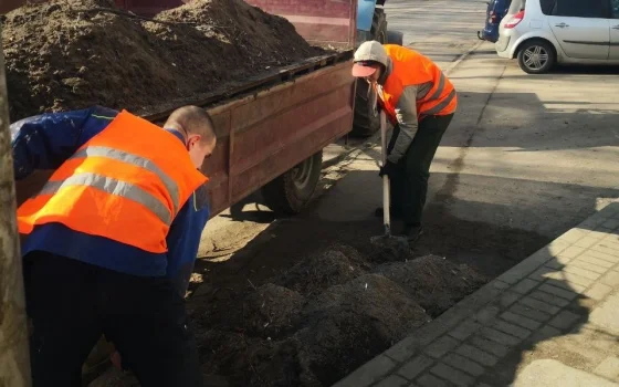 Специалисты «Чистоты» очищают Гусев от мусора, скопившегося зимой